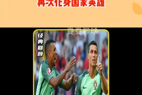 九游官网下载app下载-欧洲国家杯赛事精彩继续，激战之际团结奋进的简单介绍