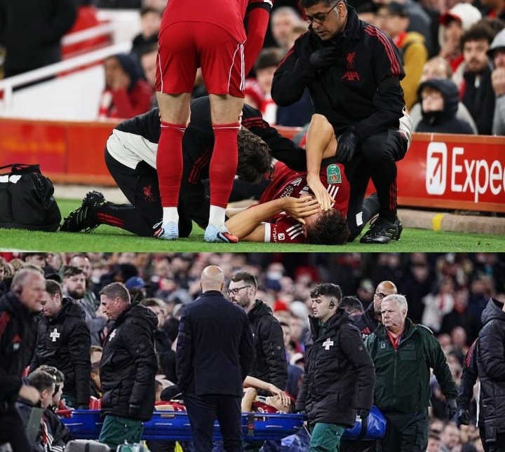 九游官网-利物浦青训队  第1张